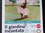 Immagine 6