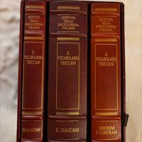 Vocabolario Treccani cofanetto in pelle
