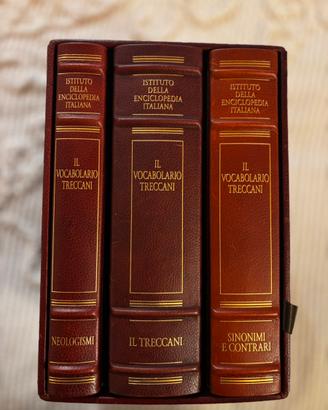 Vocabolario Treccani cofanetto in pelle