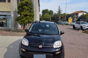 Panda Hybrid