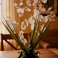 Composizione orchidee artificiali in vaso 