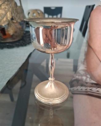 calici OLRI 