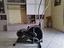 Immagine 1