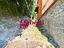 Immagine 27