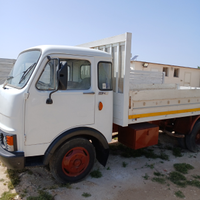 Vendo camion