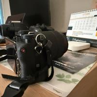 SONY A7