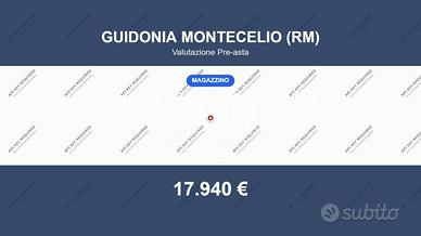 Immobile in asta di 56 m² a Guidonia Montecelio