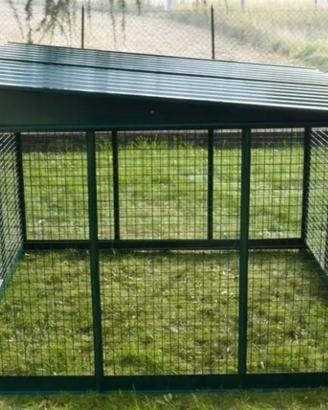 recinto per cani con tetto