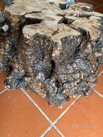 Tronco olivo trattato