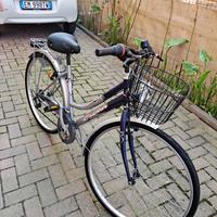 Bicicletta trekking Condor