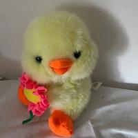 Peluche