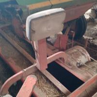 Ballatrice gallignani