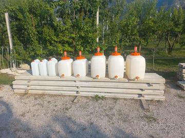 Botti e taniche per vino