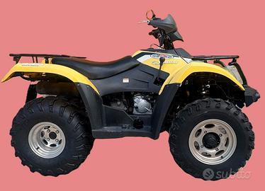 Quad Linhai 260