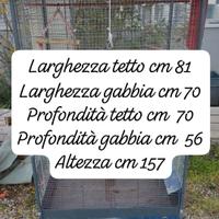 voliera gabbia volatili uccelli pappagalli 