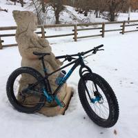 Trek Farley 6