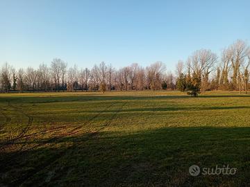 GESTIONE LAGHETTI DI PESCA/AREA PICNIC