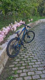Rockrider st120 wheelie/dirt