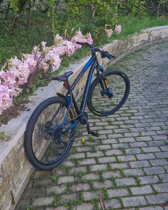 Rockrider st120 wheelie/dirt