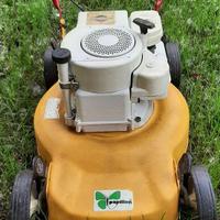 rasaerba / tagliarerba motore Briggs & stratton