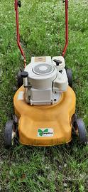 rasaerba / tagliarerba motore Briggs & stratton