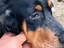 Immagine 4