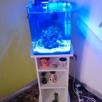 Acquario marino reef AMTRA 30x30x30