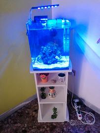 Acquario marino reef AMTRA 30x30x30