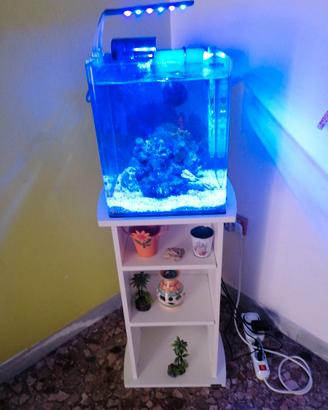 Acquario marino reef AMTRA 30x30x30