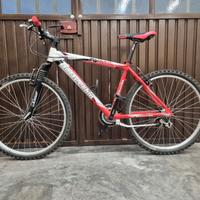 Bicicletta Bottecchia