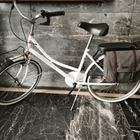 Bici da Città Vintage UsataPoco Perfetta Primavera