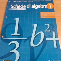 schede di algebra terza edizione 