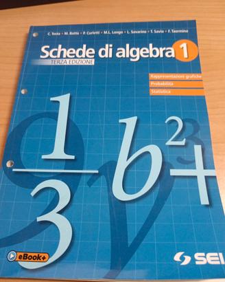 schede di algebra terza edizione 