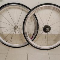 ruote campagnolo shamal 