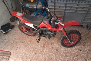 minimoto cross