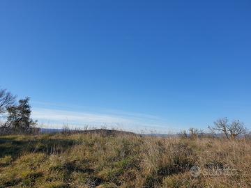 Industriale a Lugnano in Teverina