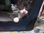 Immagine 2