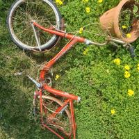 telaio bici grazielletta girardengo