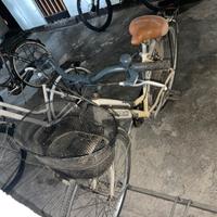Bici da cita