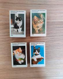Scatole Fiammiferi Gatti Domestici
