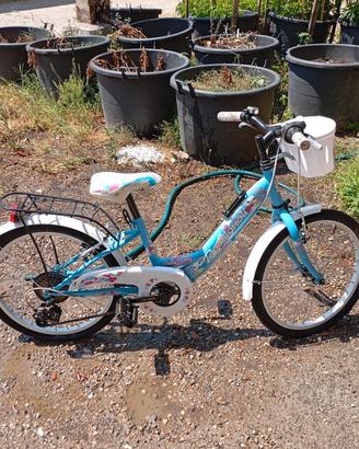 biciclette 