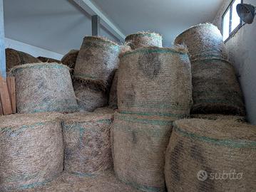 rotoballe erba di campo