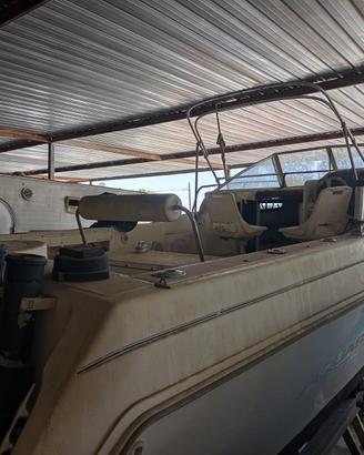 Aquasport 245 explorer