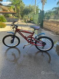 Bicicletta