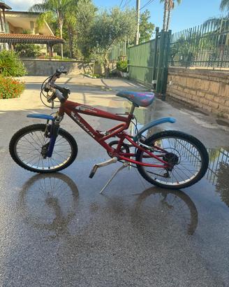 Bicicletta