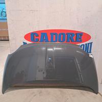 Cofano Fiat 500 1° serie 1.2 benzina del 2011