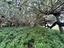 Immagine 12
