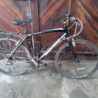 Bianchi Camaleonte