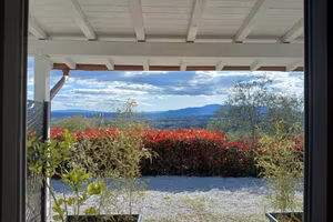 Vacanze immerse nel verde