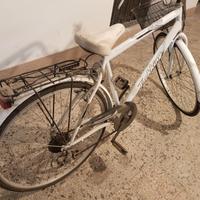 Bici Da Passeggio Trekking SBK